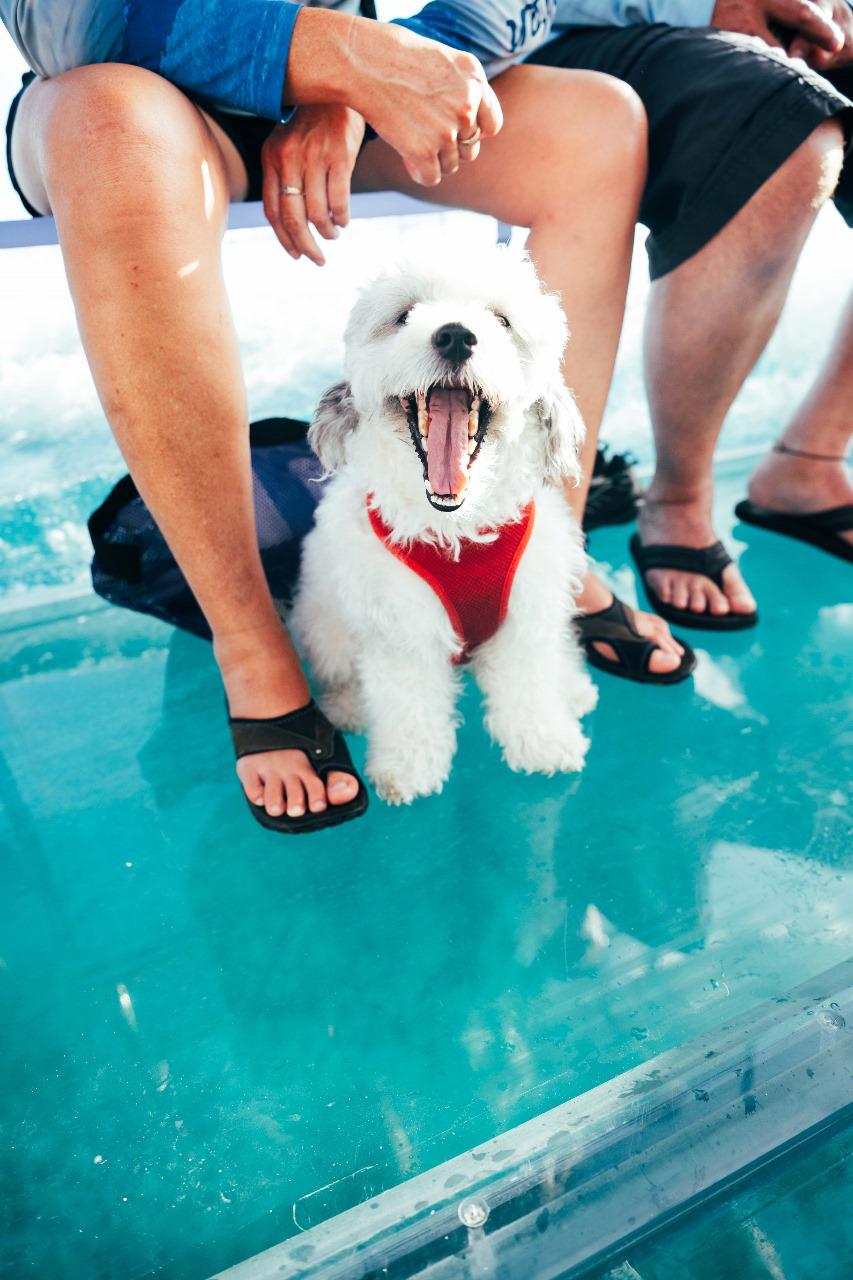 First mate